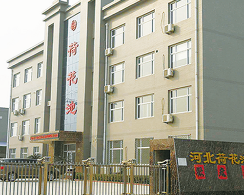 河北荷花池藥業(yè)有限公司